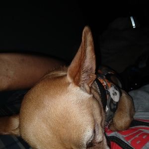 Meet your Posher, Luis